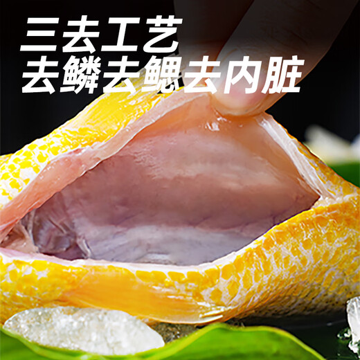 GUO LIAN Guolian Sanlu yellow croaker 2 pieces, total net weight 2Jin Jin is equal to 0.5kg, domestic Ningde East China Sea large yellow croaker dinner seafood and aquatic ingredients
