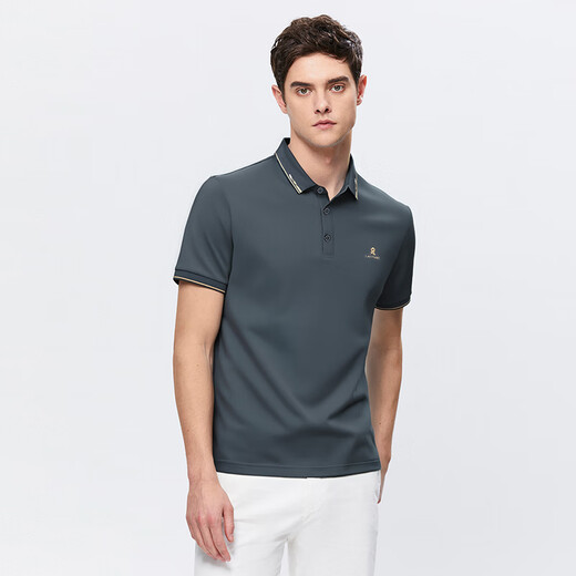 MONTAGUT summer men's Polo shirt with mulberry silk business embroidery casual versatile T-shirt silver gray 52