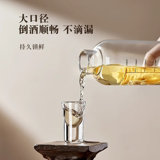 Baijie wine bottle empty bottle high borosilicate glass wine container special bottle homemade liquor bottle empty wine bottle high-end wine jug wine jar