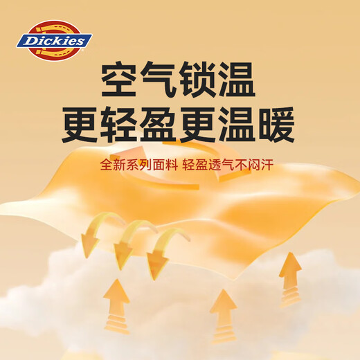 
Dickies children's clothing and children's sweatshirt suit spring and autumn style boys' thin pullover shirt for children 3-9 years old trendy two-piece set