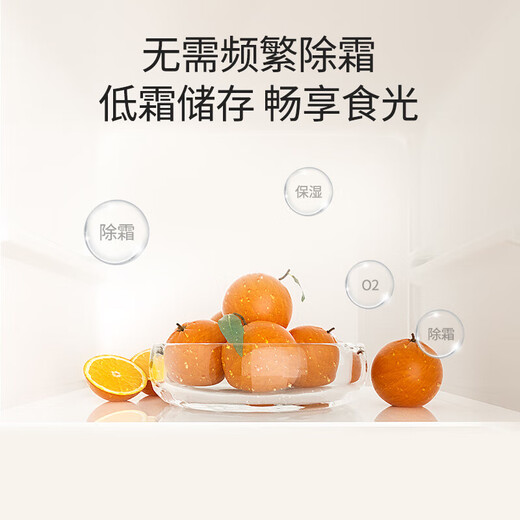 康佳172升两门冰箱小户型客厅家用租房宿舍公寓小型二级能效节能低音冷藏冷冻家电补贴AR-189G2