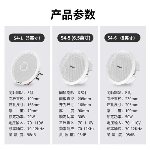 先科（SAST）SA-5012 吸顶音响套装蓝牙定压功放机公共广播家用客厅商用会议店铺背景嵌入式隐藏吊顶音箱一拖二