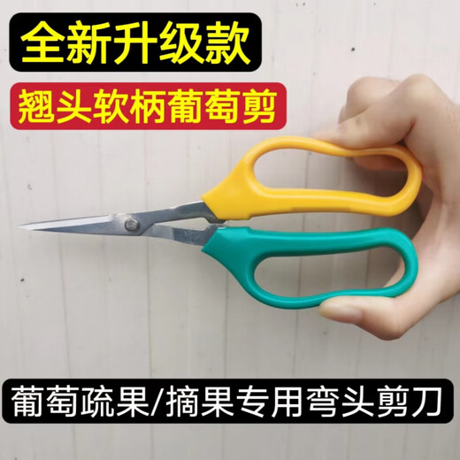 Nufeng Grape Special Scissors Stainless Steel Upturned Head Gardening Scissors Vegetables and Fruits Thin Fruit Pruning Flower Branches Pepper Picking Fruit Orange Picking 3 Upturned Head Grape Scissors