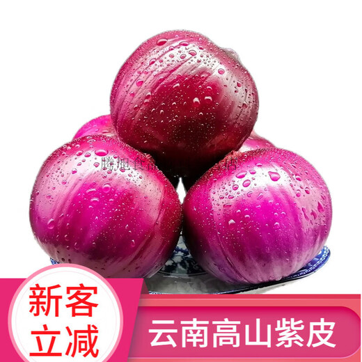 
[Eat raw slightly sweet] Gansu Jiuquan purple onion fresh red onion round onion 5 Jin [Jin equals 0.5 kg] Cheap vegetables for formaldehyde removal, high-quality selection of onion 13586 single_5 Jin [Jin equals 0.5 kg]