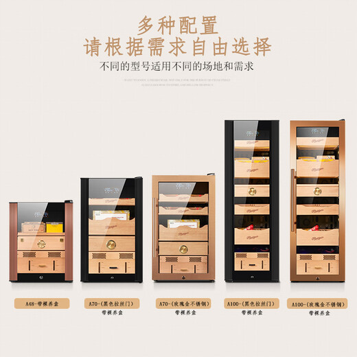Double temperature control and humidity control cigar cabinet with constant temperature and humidity household ammonia removal and eggplant moisturizing cabinet A70/740MM high/rose gold stainless steel door with lock