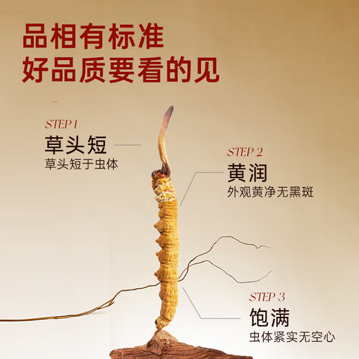 Ayishe Cordyceps sinensis aproximadamente 2-3 raíces/G10g Aproximadamente 32 raíces de nuevos suplementos de regalos de Cordyceps secos para productos nutricionales de mediana edad y ancianos