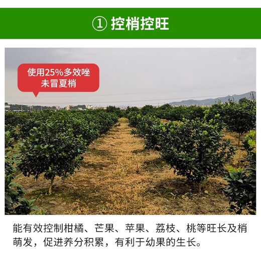 Harvest and Fenchuang carefully selected 25% paclobutrazol suspension agent for fruit trees and flowers succulent dwarfing agent to control growth regulator 1000g