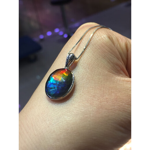 DRJEFUN Canadian Ammonite Pendant 925 Silver Inlaid 25 Silver Inlaid