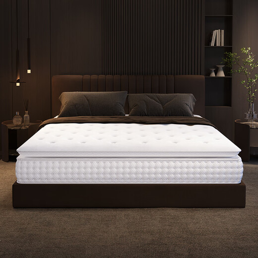 Shareenow Hilton Fünf-Sterne-Hotel Latex Memory Foam Roll Pack unabhängiger Frühlings-Simmons Hauptschlafzimmer Matratze Super weich