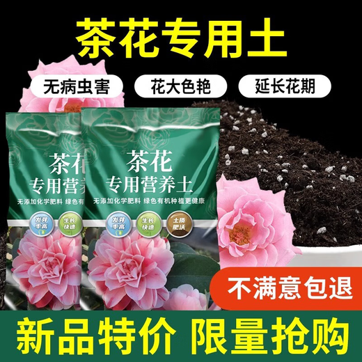 Special soil for growing camellias, special soil for camellias, nutrient soil for potted plants, special soil for planting soil, fertilizers, special fertilizers for camellias, special soil for camellias 20 liters