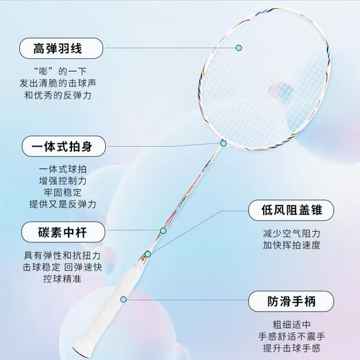 目击者（WITESS）目击者羽毛球拍691双拍超轻全碳素碳纤维两支装 镭射系列691黑色全碳双拍送套装