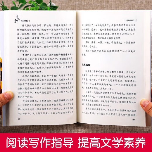 [Xinhua Genuine Version Schnellveröffentlichung] Bronze Sunflower Echtes CAO -Vollversion Außer Version außerschulisch