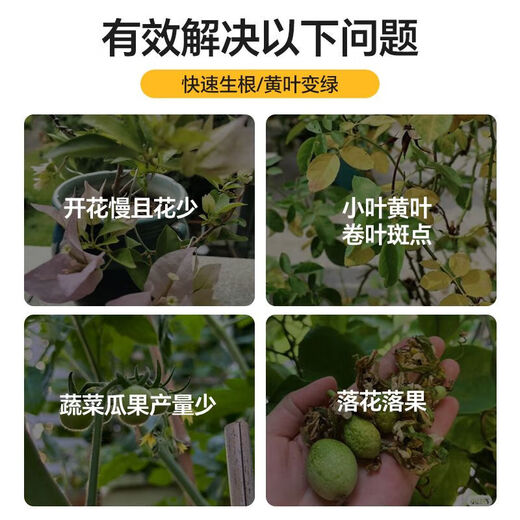 Quick Green 120 Foliar Fertilizer Chlorophyll Genuine Thick Leaf Vegetables Flowers Fruits and Vegetables Universal Water-Soluble Fertilizer Factory Direct Sales Powerful Quick Green 120 50g*10 Bags Standby