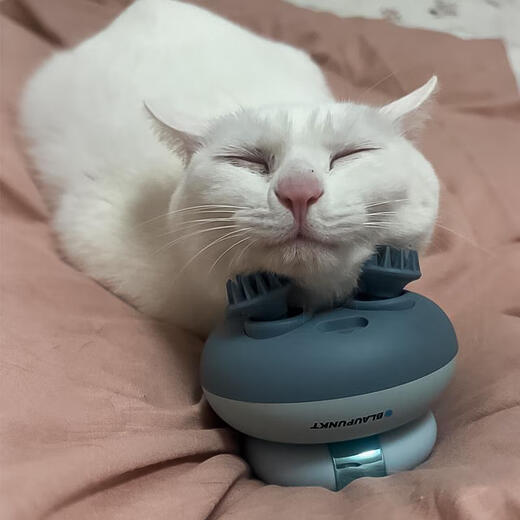 Jingmengyuan Cat Massage Head Artifact Pet Automatic Massage Instrument Dog Tickle and Grooming Massager for Cats and Dogs Light Green