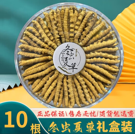 Beijing Tongrentang Pangdonglai Quality Tibet Snow Cordyceps 2 Roots/G Authentic Cordyceps High Altitude Gifts 2 Roots/G (Specifications) 10 Roots Gift Box
