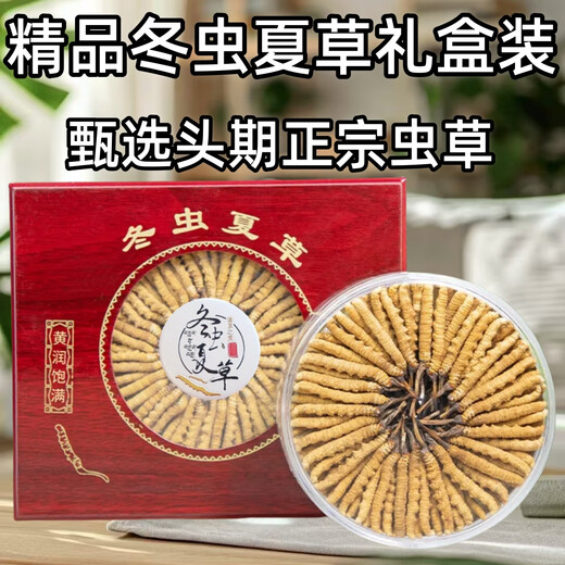 Cordyceps gift box 2025 first stubble new dried cordyceps authentic guaranteed to ship authentic Tibetan cordyceps on the same day. Tibet fine cordyceps 2 pieces 1 gram 30 pieces