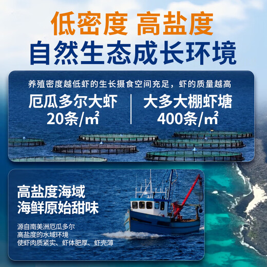 Yunchu Life Ace Prawns Fresh Extra Large Fresh Frozen Ecuadorian White Shrimp Original Imported Shrimp 3040 Net Weight 3Jin Jin is equal to 0.5kg