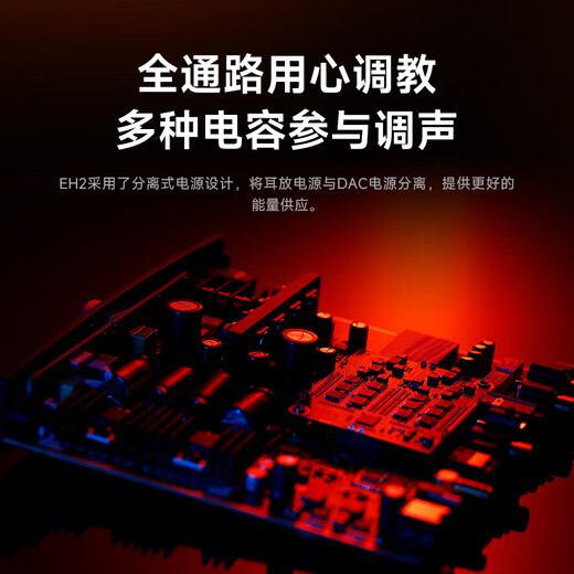 SHANLING EH2 desktop decoding amp HiFi player pre-decoding all-in-one DSD hard decoding 4.4 balanced decoding amp EH2 black + adapter