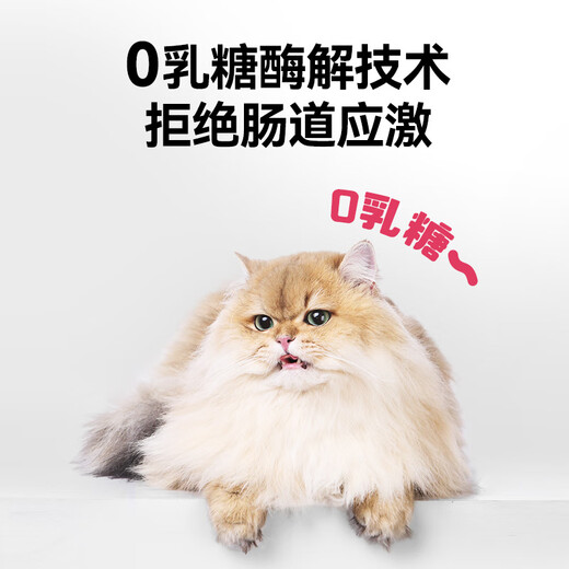 High quality goat milk powder 200g high lactoferrin 0 lactose pet kitten dogs and cats universal adult pregnant and elderly x2