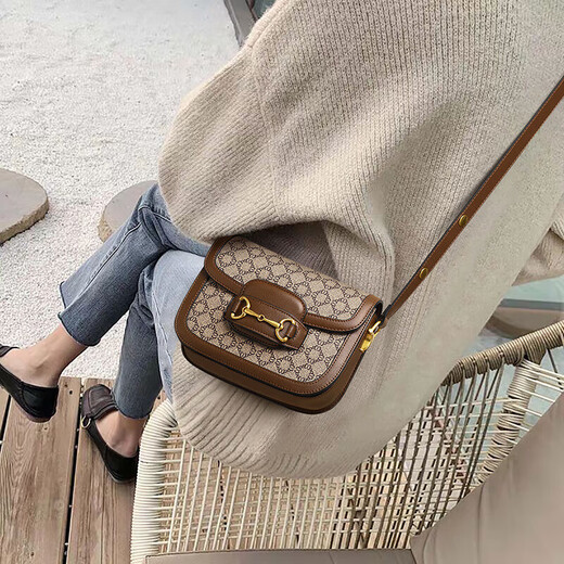 Anysmic Bag Damenbeutel leichte Luxus große Marke High-End-Marke Frauenbeutel 2025 Neue Satteltasche Crossbody-Umhängetasche Frauen Kaffee Farbe