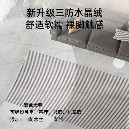 雪木萱（XUEMUXUAN）地毯客厅2024新款轻奢沙发地垫免洗可擦房间卧室家用茶几毯厚 现代15601 180*280cm(升级加厚款易打理)