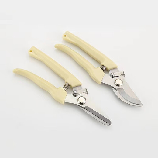 Orange Central gardening shears, powerful stainless steel labor-saving pruning pruning fruit tree thick branches special scissors