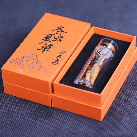 冬虫夏草藏区雪域高海拔虫草自用实惠高海拔虫草头期优质干草 3根/克(每单为1根)