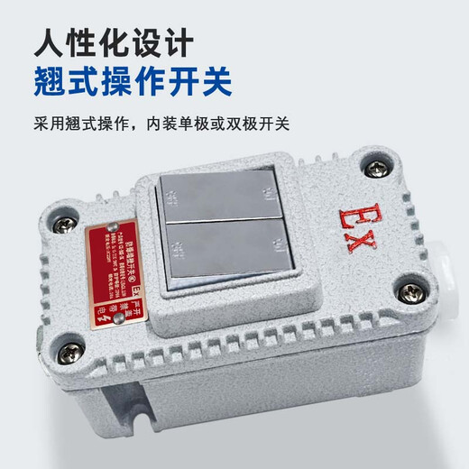 VRK explosion-proof switch lighting waterproof 220V10A outdoor exposed and concealed one open dual control single control