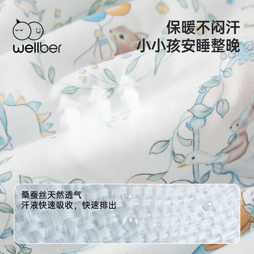 WELLBER Children's Anti-Kick Quilt for Big Children, Mulberry Silk Sleeping Bag for Baby, Autumn and Winter Thick Dreamland 100*160cm