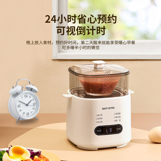 Egg cooker, steamer, electric steamer, small stewing and steaming all-in-one small steamer, omelette pot, small steamed egg artifact, household dormitory electric frying pan, small appliance, small electric cooker, double layer, with steamed egg rack + stainless steel custard bowl, 6 major functions