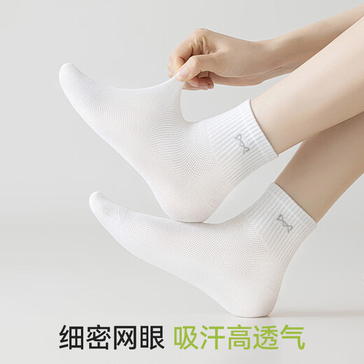 猫人5双袜子女士夏季薄款纯棉网眼女袜子抗菌防臭吸汗透气中筒袜 白色+米色+浅绿+嫩粉+浅紫 5双 均码 【建议35-39码】