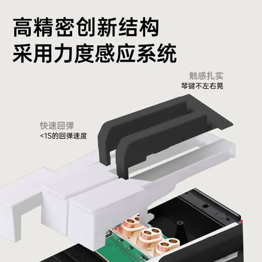 贝多辰（Beethostar）可折叠电子琴61键力度电子钢琴便携式电钢琴初学专业替代手卷钢琴 【折叠款】61键力度键蓝牙版 官方标配