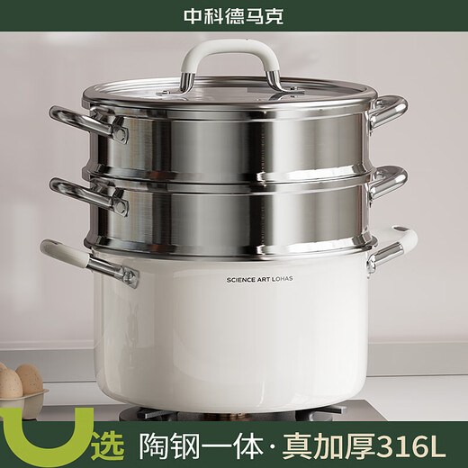 Zhongke Demark (DUMIK) uncoated 316 food-grade stainless steel ceramic soup pot, household thickened stew pot, ceramic and steel integrated, anti-rust and antibacterial, soup pot + double-layer steamer 24cm