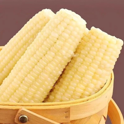 2025 Northeastern White Waxy Corn Vacuum Packed New Arrival Freshly Picked Farm-Grown Fresh Sweet Waxy Corn on the Cob Coarse Grain White Sweet Waxy Corn 3 Sticks 150-200g