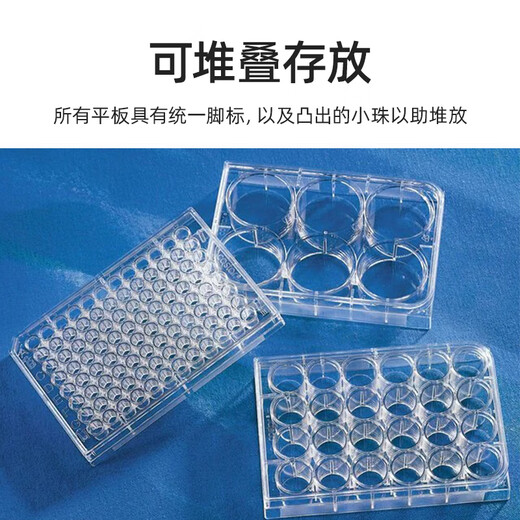 corning康宁 6 12 24 48 96孔 低吸附TC U底培养板 Costr 3513 35 3524(24孔)