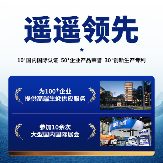 Bassling Fresh Rushan Ecological Oysters 2XL Net weight 4Jin Jin is equal to 0.5kg 13-17 fresh fresh products sent directly from the source for New Year gifts