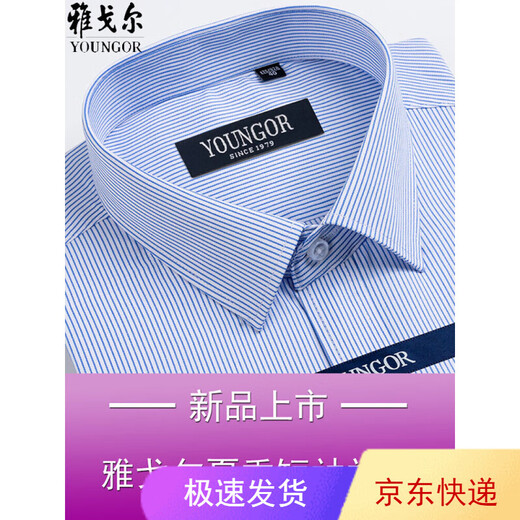 CEO雅戈尔男士短袖衬衫夏季商务休闲职业正装棉免烫中年大码条纹衬衣 短袖DX6624 43