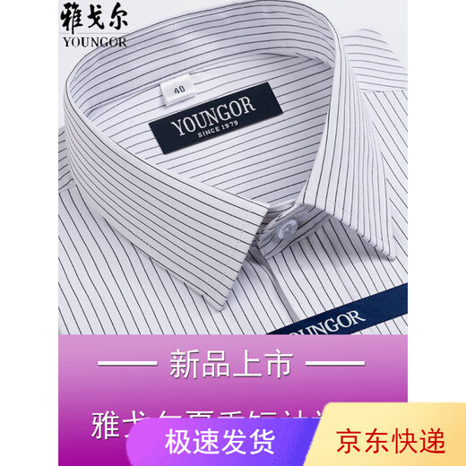CEO雅戈尔男士短袖衬衫夏季商务休闲职业正装棉免烫中年大码条纹衬衣 短袖DX6624 43