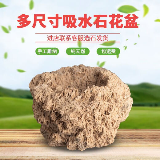 Absorbent stone flower pot, natural strange stone, absorbent stone, upper water stone, original stone, stone pot, calamus, succulent potted plant, bonsai micro landscape, absorbent stone, flower pot 13-17cm (no gifts)