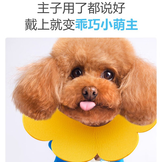 LISM Elizabethan collar for cats and dogs, pet dog and cat headgear collar, S size neck collar, anti-licking and biting neck collar, shame circle, S size, thickened version, suitable for 3-6 Jin Jin is equal to 0.5 kg inner cat