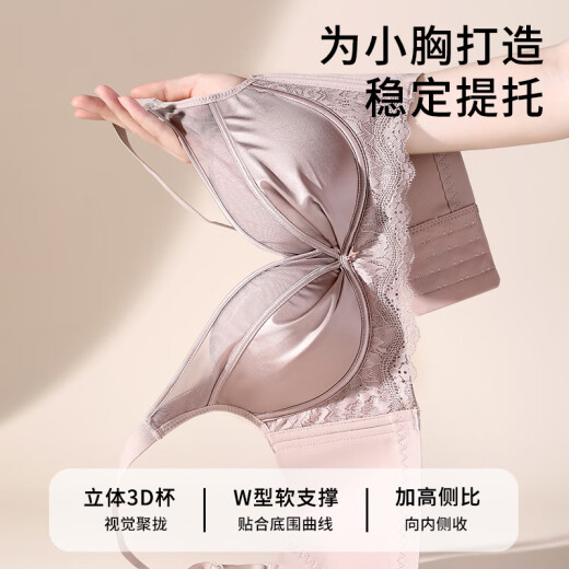 芬腾内衣女夏季新品小胸提拉聚拢性感蕾丝透气防下垂无钢圈收副乳文胸