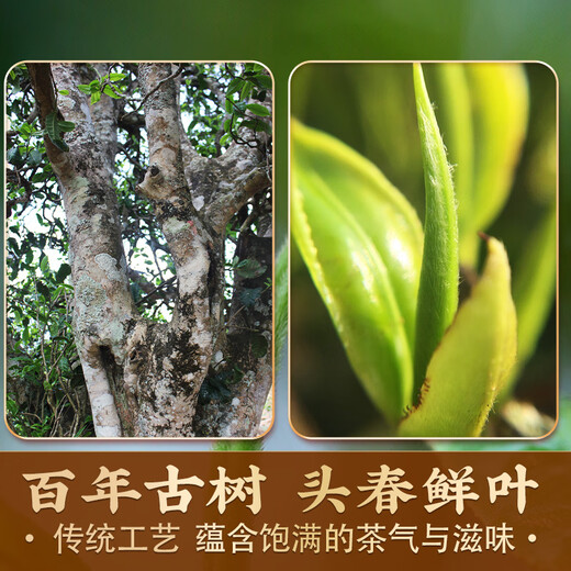 Banzhang memorable Laobanzhang Iceland Pu'er tea ripe tea for more than ten years Ancient tree tea Old tea Yunnan Qizi Cake Tea Gift Box 2499g [Town store tips] Ten years Chen Laobanzhang