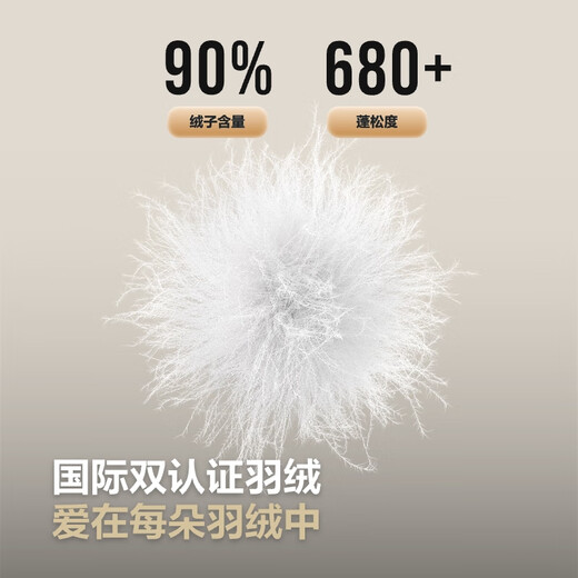 
Bosideng 25-year spring short thin down jacket for women 90 velvet three-proof stand collar inner liner portable B250131006
