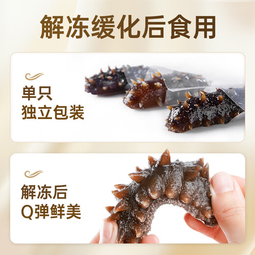 Dalian sea cucumber, organic sea cucumber, non-ready-to-eat sea cucumber, gift box, fresh seafood, Dalian specialty, individually packaged, 1000g, 32-36 heads, gift box (huge subsidies in progress)