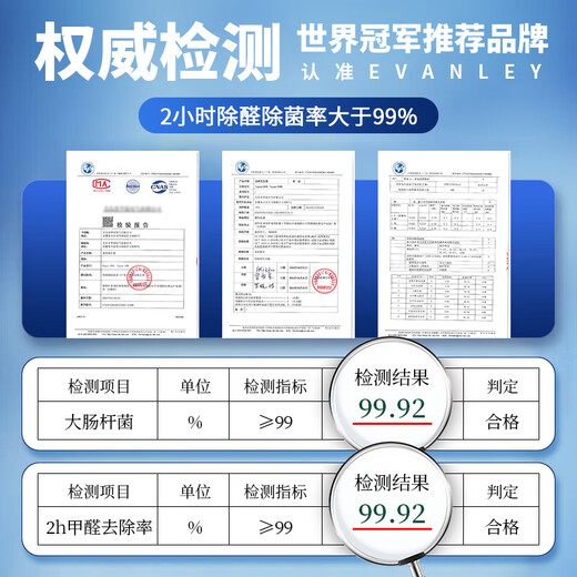 EVANLEY German ozone generator sterilizer household air purifier industrial food factory car sterilization and formaldehyde removal 40g/h (240 square meters)