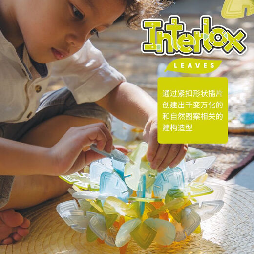 Les grandes feuilles naturelles, les flocons de neige, les blocs de construction en plastique, les jouets, l'intelligence des enfants, 2 ans, 3 G16835 Organisation colorée carrée, 96 pièces