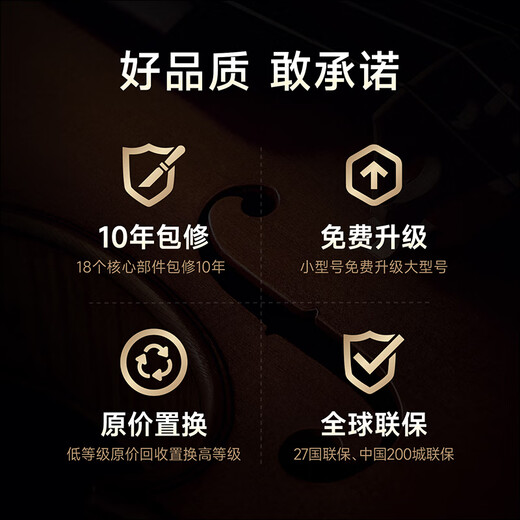 菲妮克斯(PHOENIX ）手工儿童小提琴初学者儿童考级入门成人初学练习 MVA301E入门级小提琴 3/4身高140-150CM适用