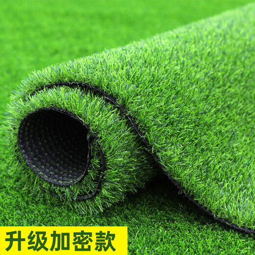 Simulated lawn carpet, artificial artificial turf, green outdoor decoration, fake grass plastic mat, balcony kindergarten, 2cm thick spring grass (1m wide*2m long)