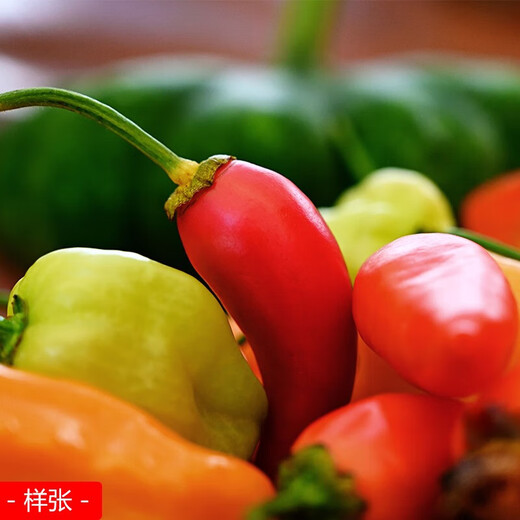 Nikon Nikkor Z mount lenses, mirrorless camera lenses, Z62/Z63/Z72/Z8/Z9 and other Nikon Z series mirrorless cameras are suitable for bird hunting, bird photography, and traveling. Z24-70mm f/4S disassembled head (1-year nationwide warranty) comes standard with a free high-quality UV+ cleaning kit.