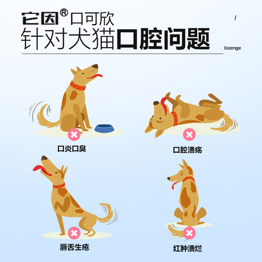 It is Yinkou Kexin Medical Disinfectant Pet Oral Ulcer Lysozyme Antimicrobial Peptide Promotes Cleansing and Muscle Regeneration for Dogs and Cats 1 bottle